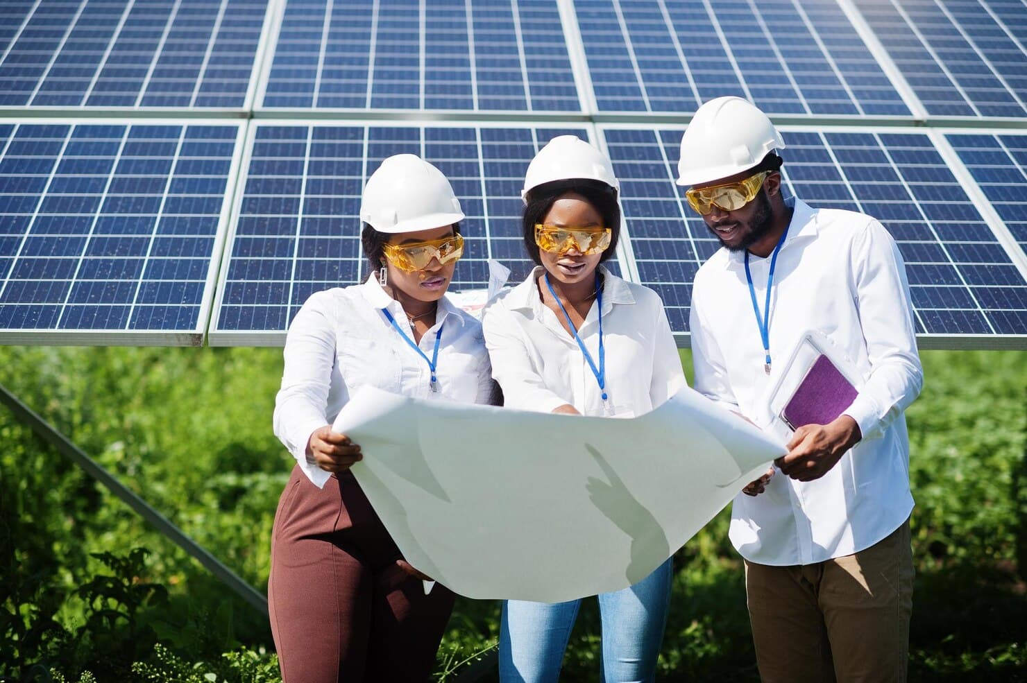 Government & Energy Agencies