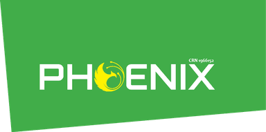 Phoenix Projects Connect Ltd